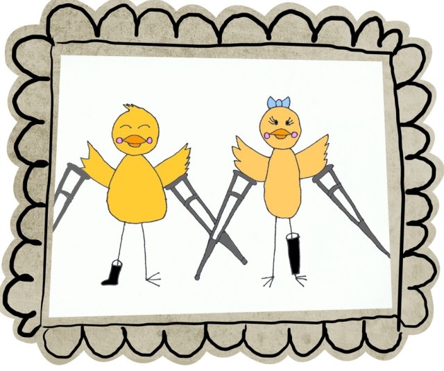 12of52BirdAWeek2011LindaDjokicBlog