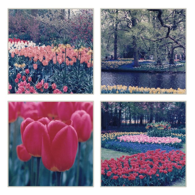 DW100TC31FlowersVintage