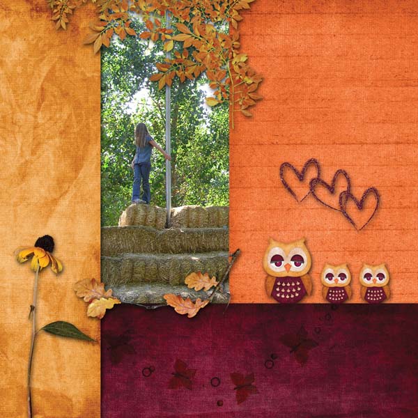 LutkaAndCo_CreatedbyJill_FallingForYou_QP2_Layout