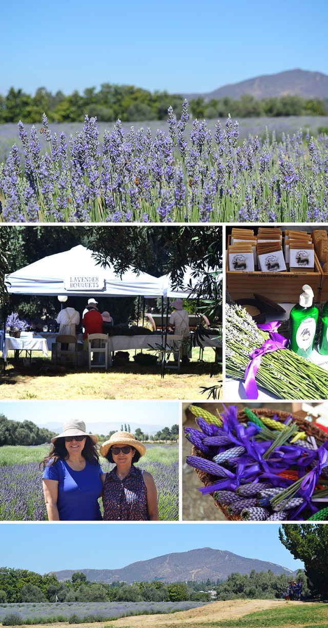 LavenderFestival2013