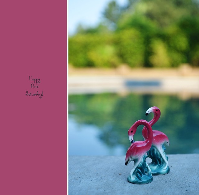 PinkSaturday_June28_2013