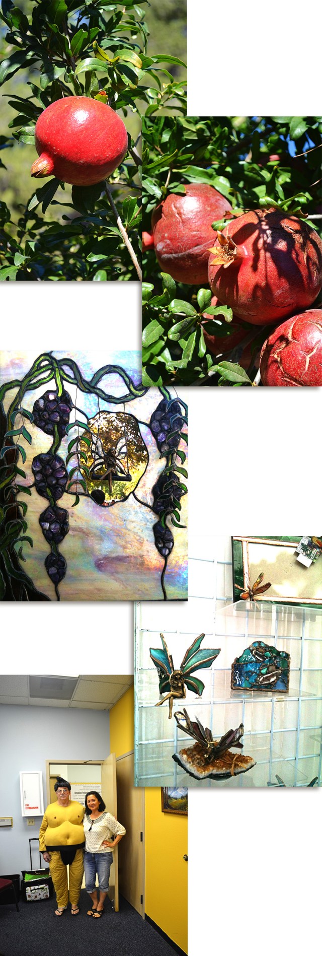 Garden_October2013_Stuff